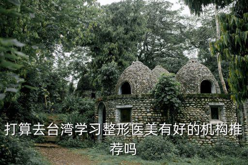 打算去臺灣學習整形醫美有好的機構推薦嗎