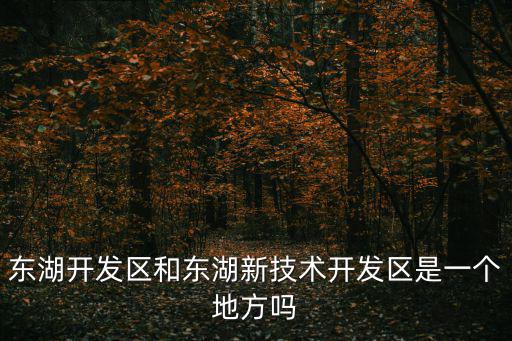 東湖開發(fā)區(qū)和東湖新技術(shù)開發(fā)區(qū)是一個地方嗎