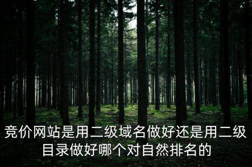 競(jìng)價(jià)網(wǎng)站，競(jìng)價(jià)網(wǎng)站是用二級(jí)域名做好還是用二級(jí)目錄做好哪個(gè)對(duì)自然排名的
