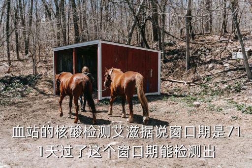 血站的核酸檢測艾滋據(jù)說窗口期是711天過了這個窗口期能檢測出