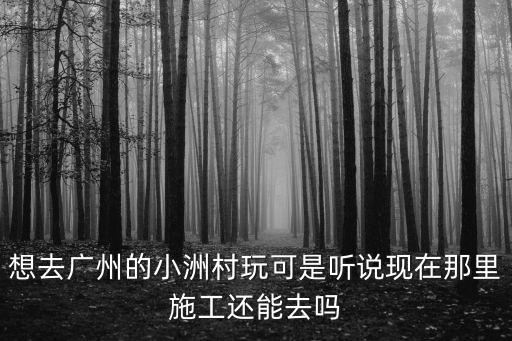 想去廣州的小洲村玩可是聽說現在那里施工還能去嗎