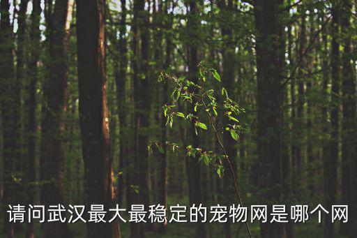 請問武漢最大最穩(wěn)定的寵物網(wǎng)是哪個網(wǎng)