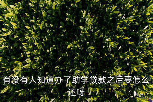有沒有人知道辦了助學貸款之后要怎么還呀