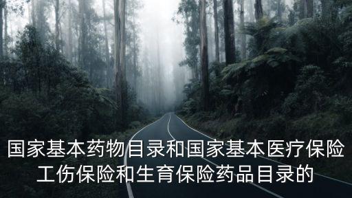 國家基本藥物目錄和國家基本醫(yī)療保險(xiǎn)工傷保險(xiǎn)和生育保險(xiǎn)藥品目錄的