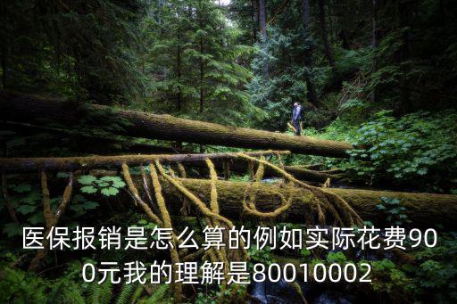 醫保報銷是怎么算的例如實際花費900元我的理解是80010002
