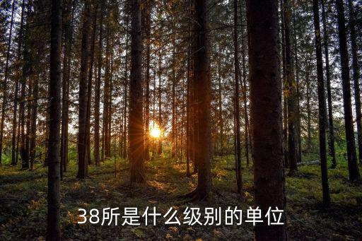 38所是什么級別的單位