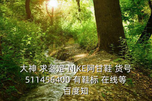 大神 求鑒定 NIKE阿甘鞋 貨號511456400 有鞋標 在線等百度知
