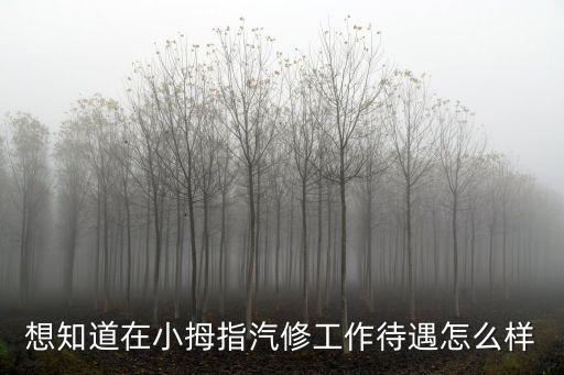 想知道在小拇指汽修工作待遇怎么樣