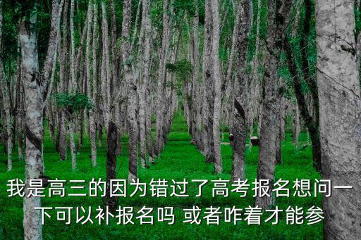 高考補(bǔ)報(bào)名，我是高三的因?yàn)殄e(cuò)過了高考報(bào)名想問一下可以補(bǔ)報(bào)名嗎 或者咋著才能參