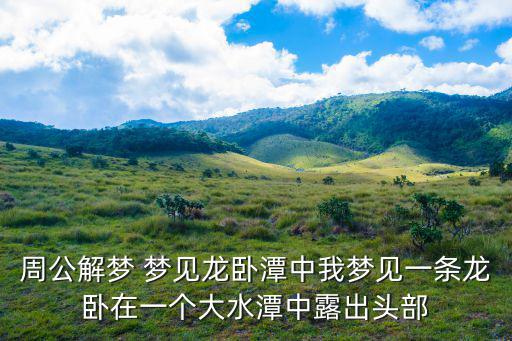 龍臥，臥龍的真諦