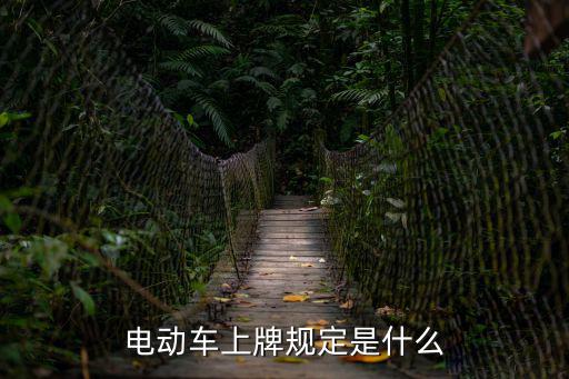 電動車上牌規(guī)定是什么
