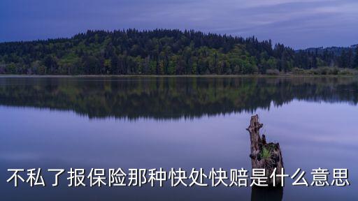 不私了報(bào)保險(xiǎn)那種快處快賠是什么意思