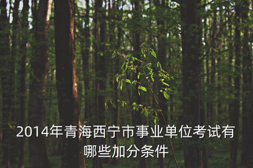 2014年青海西寧市事業(yè)單位考試有哪些加分條件