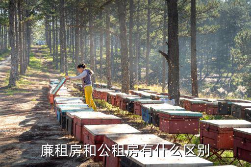 公租房廉租房區別，廉租房與公租房的區別在哪