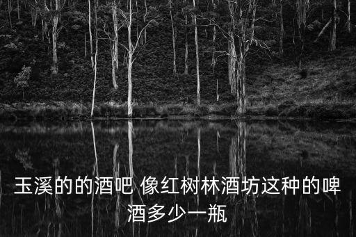 玉溪的的酒吧 像紅樹林酒坊這種的啤酒多少一瓶