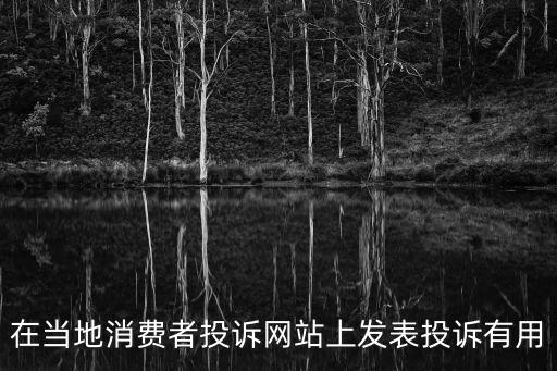 在當地消費者投訴網站上發表投訴有用