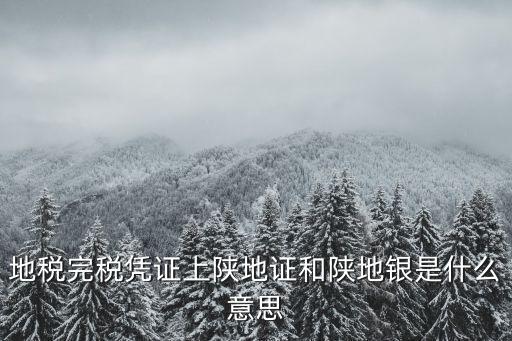 地稅完稅憑證上陜地證和陜地銀是什么意思
