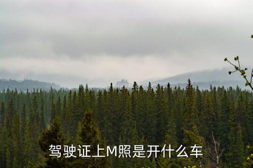 駕駛證上M照是開(kāi)什么車(chē)