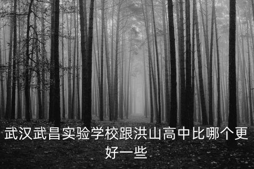 湖北省武昌實驗中學，湖北省武昌實驗中學具體地址