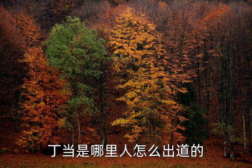 丁當(dāng)是哪里人怎么出道的