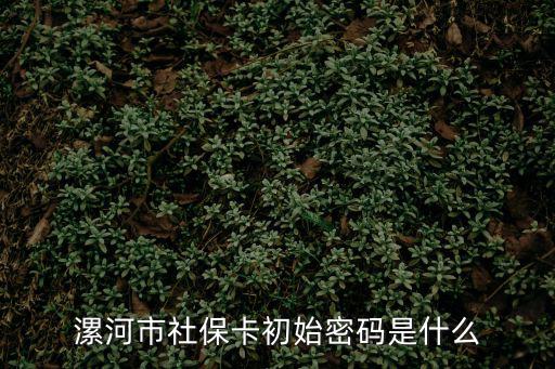 漯河市社保卡初始密碼是什么