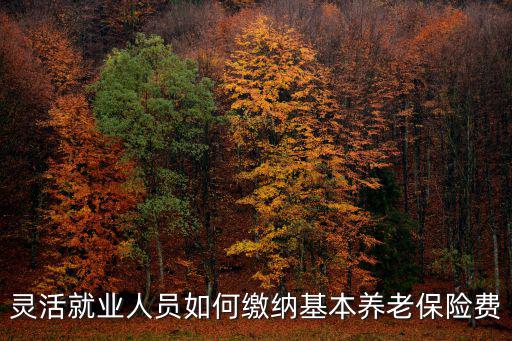 靈活就業(yè)人員社保繳費(fèi)，原來(lái)在單位上班現(xiàn)在不去上班了我想以靈活就業(yè)人員繳納社保