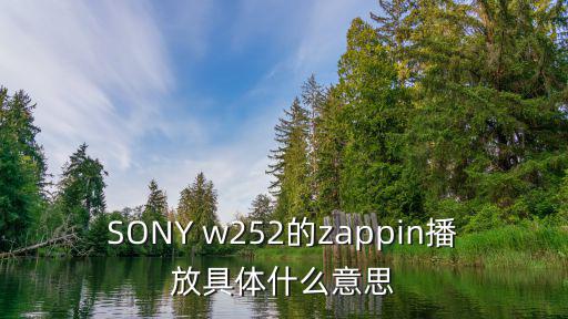ZAPP，火車上讓帶zapp油嗎