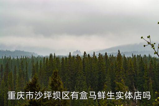 重慶市沙坪壩區有盒馬鮮生實體店嗎