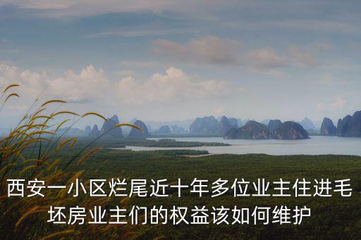 西安一小區爛尾近十年多位業主住進毛坯房業主們的權益該如何維護
