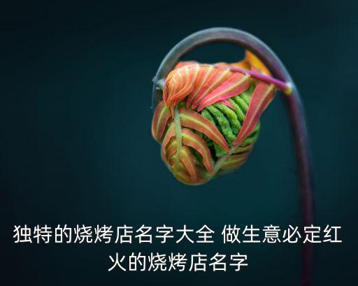 獨特的燒烤店名字大全 做生意必定紅火的燒烤店名字