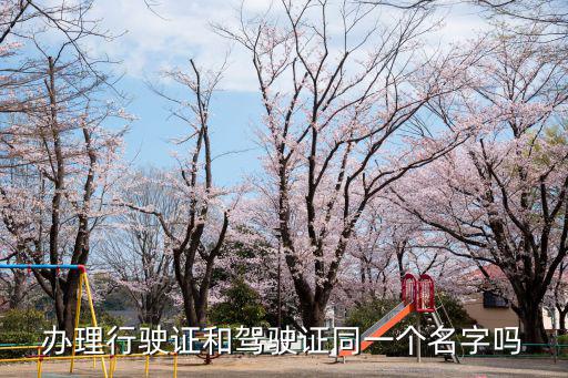 行駛證和駕駛證，機動車行駛證和機動車駕駛證一樣么