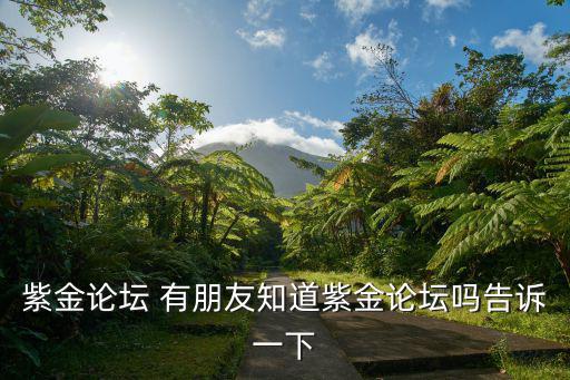 紫金論壇 有朋友知道紫金論壇嗎告訴一下