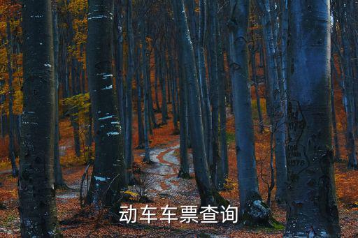 高鐵車次查詢，高鐵旅客車次怎么查詢