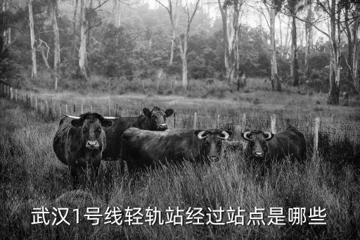 輕軌一號線，武漢1號線輕軌站經過站點是哪些
