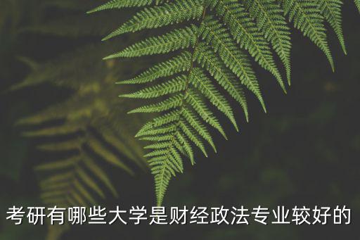 財(cái)經(jīng)政法大學(xué)，考研有哪些大學(xué)是財(cái)經(jīng)政法專業(yè)較好的