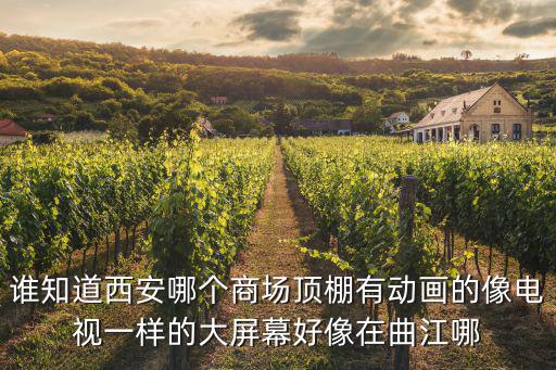 誰知道西安哪個商場頂棚有動畫的像電視一樣的大屏幕好像在曲江哪