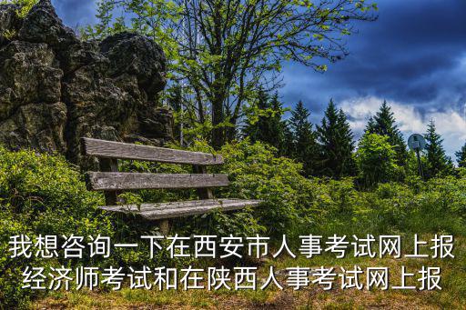 我想咨詢一下在西安市人事考試網上報經濟師考試和在陜西人事考試網上報