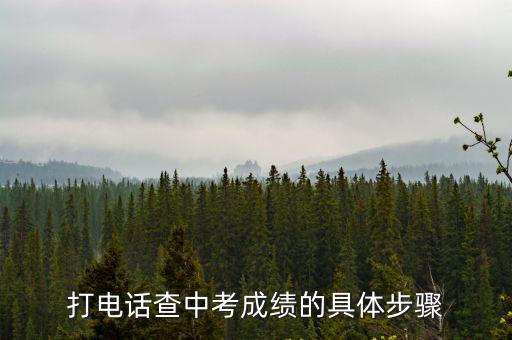 打電話查中考成績的具體步驟
