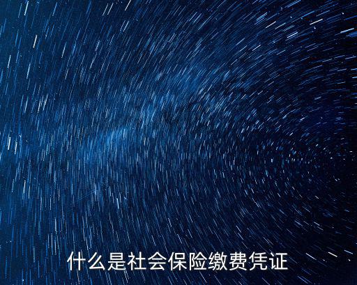 什么是社會(huì)保險(xiǎn)繳費(fèi)憑證