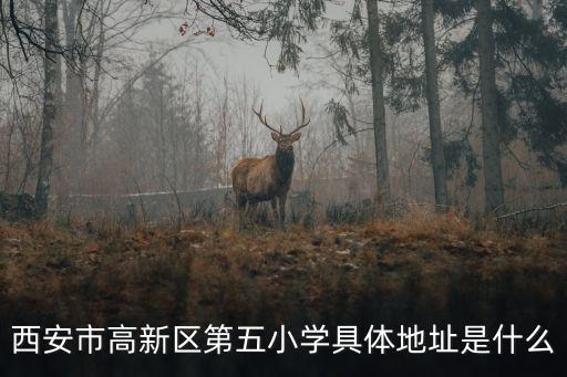 西安市高新區第五小學具體地址是什么