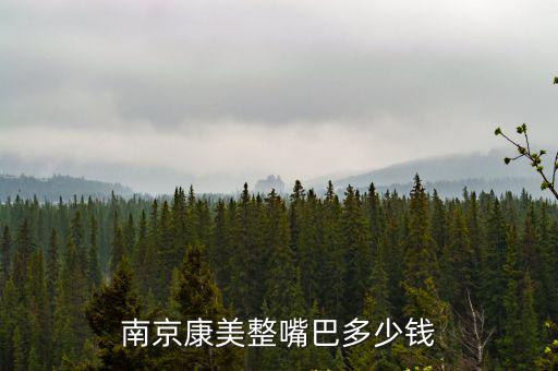 南京康美整嘴巴多少錢