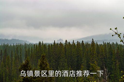 烏鎮景區里的酒店推薦一下