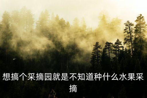 水果采摘，廣州哪里可以采摘水果