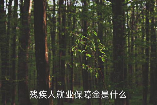 殘疾人就業(yè)保障金是什么
