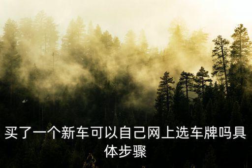 怎么網上選車牌號，網上選車牌號怎么搞呢