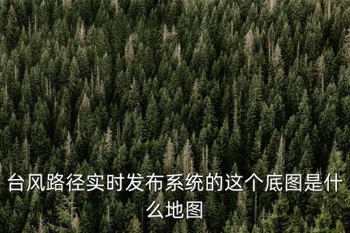臺風路徑實時發布系統的這個底圖是什么地圖