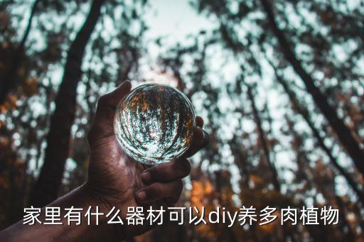 多肉diy，鐵皮盒怎樣diy種多肉