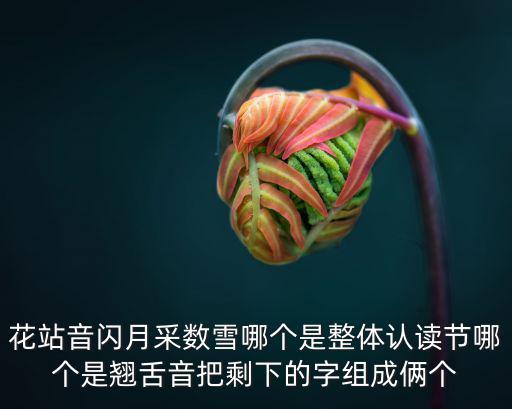 花站音閃月采數雪哪個是整體認讀節哪個是翹舌音把剩下的字組成倆個