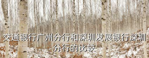交通銀行廣州分行和深圳發展銀行深圳分行的比較