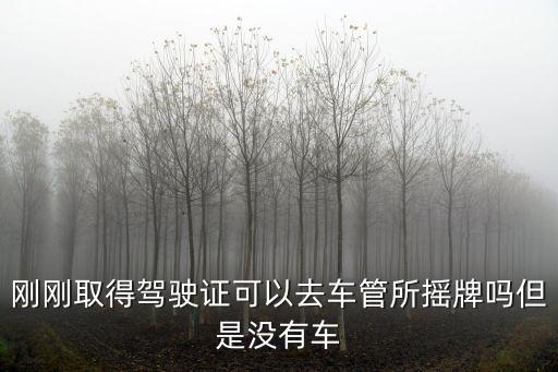 剛剛取得駕駛證可以去車管所搖牌嗎但是沒有車